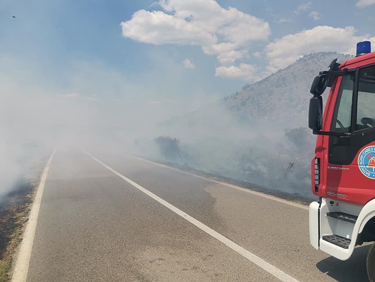 Поново активан пожар у Коритима, ватра на 100 метара од кућа