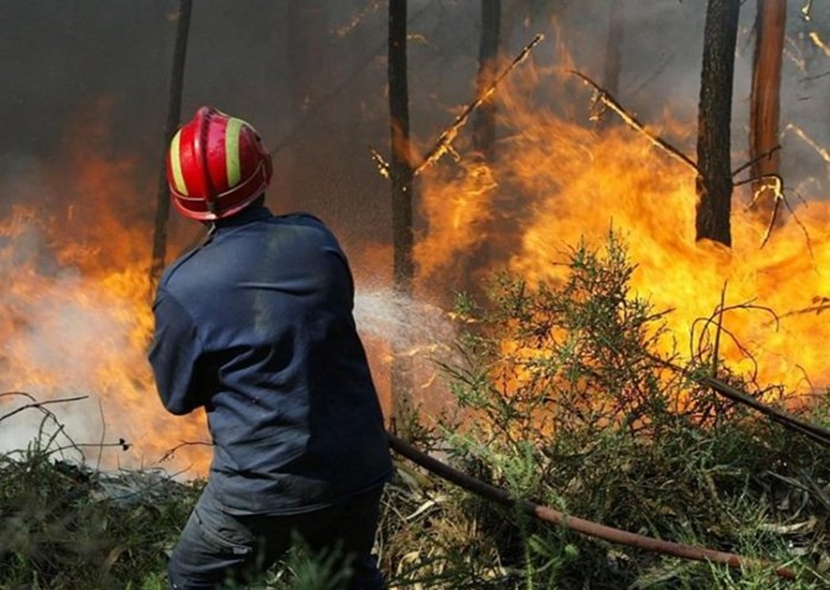 Активан пожар у пограничном подручју Црне Горе са БиХ