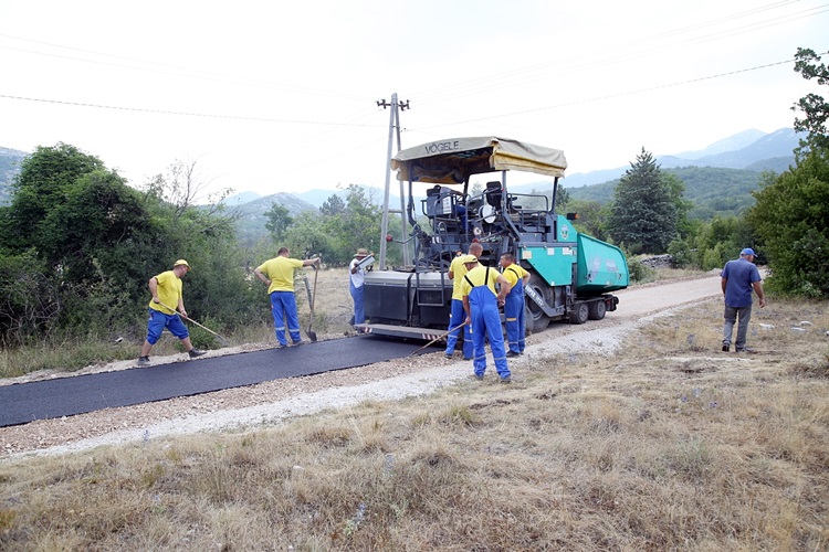 IMG_5001_resized_20220808_122329038.JPG (168 KB)