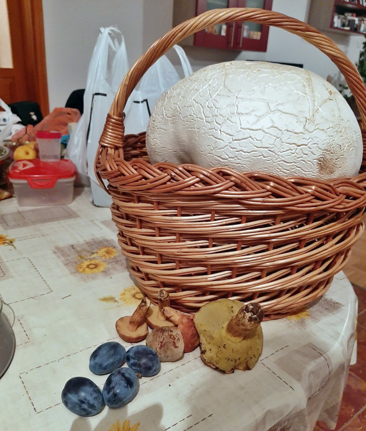 Рекордерка пронађена на Требињским брдима