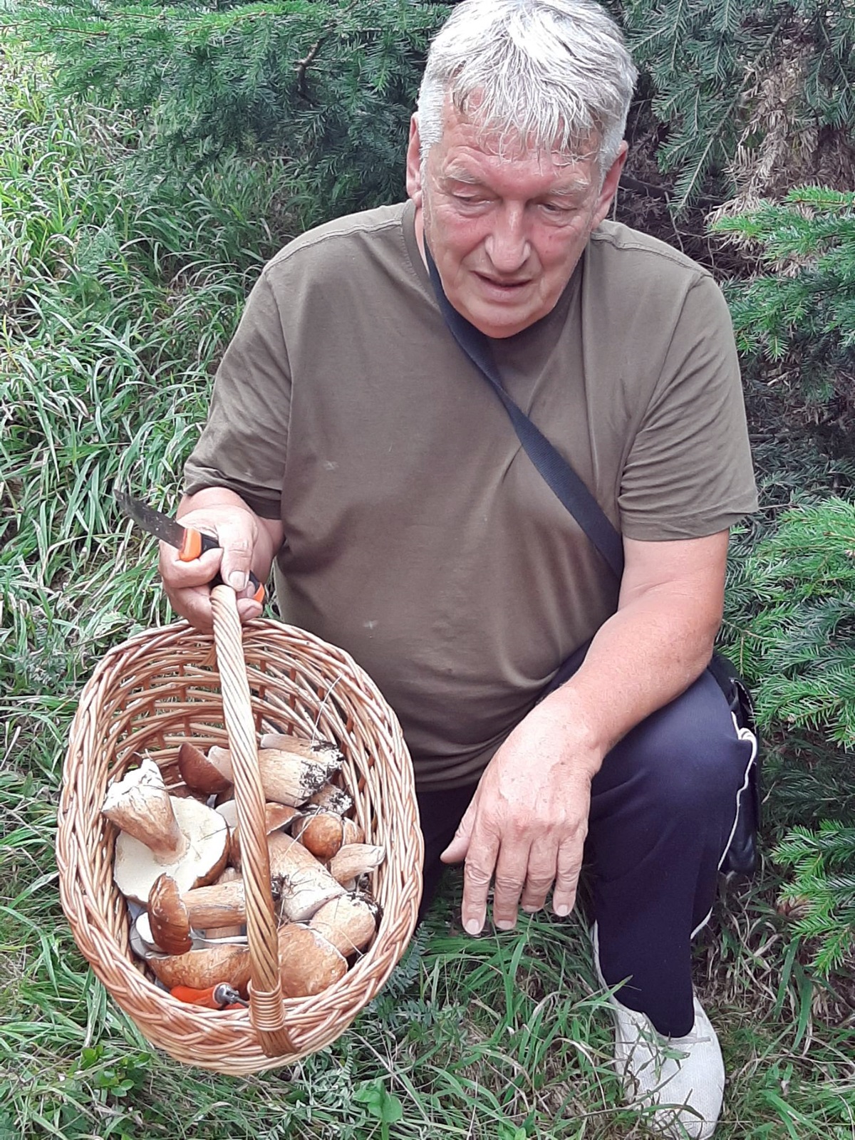 IMG-e72557136d8fdf37a25de431e31b3d22-V.jpg (868 KB)