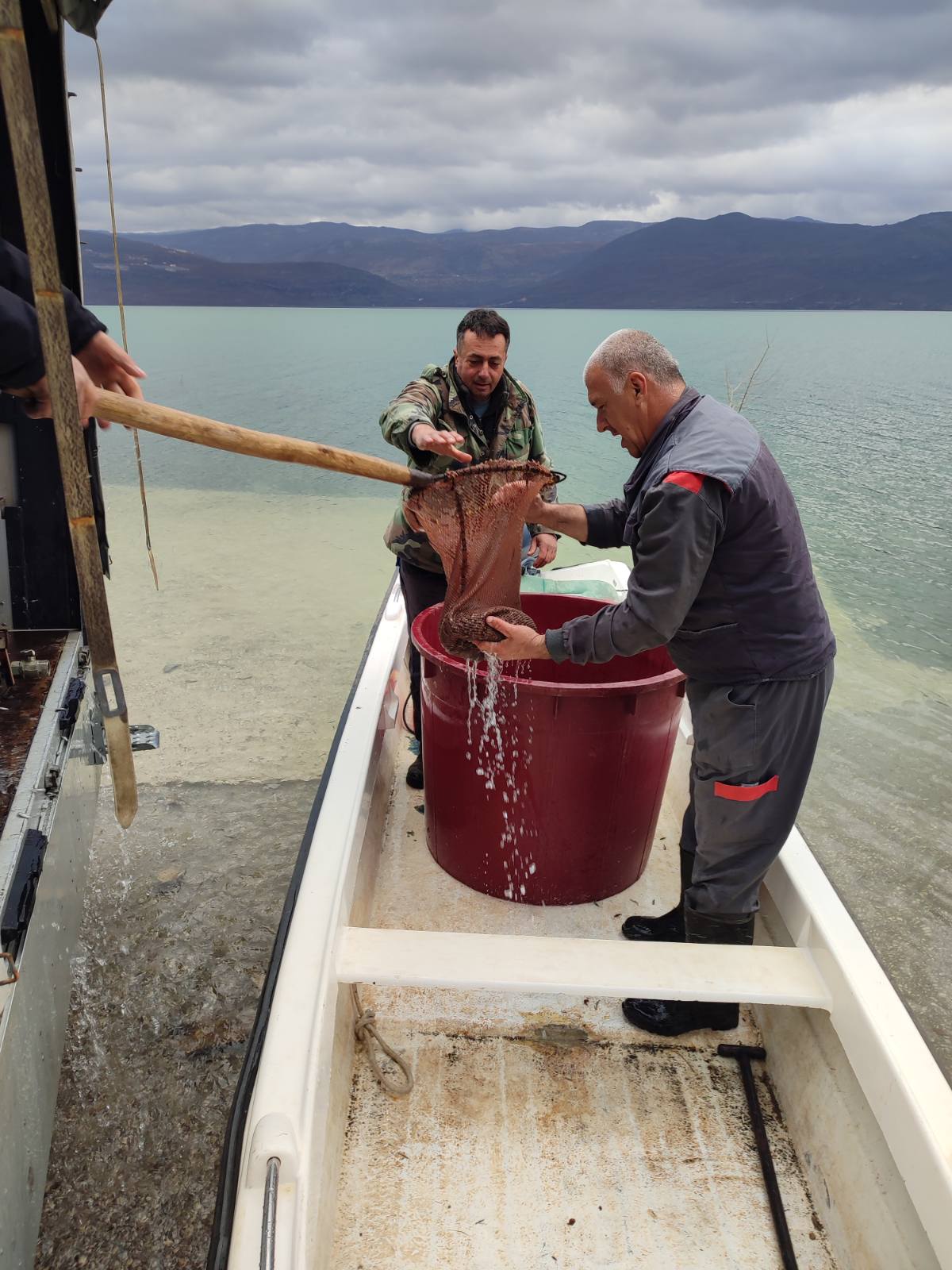 Порибљавање Билећког језера