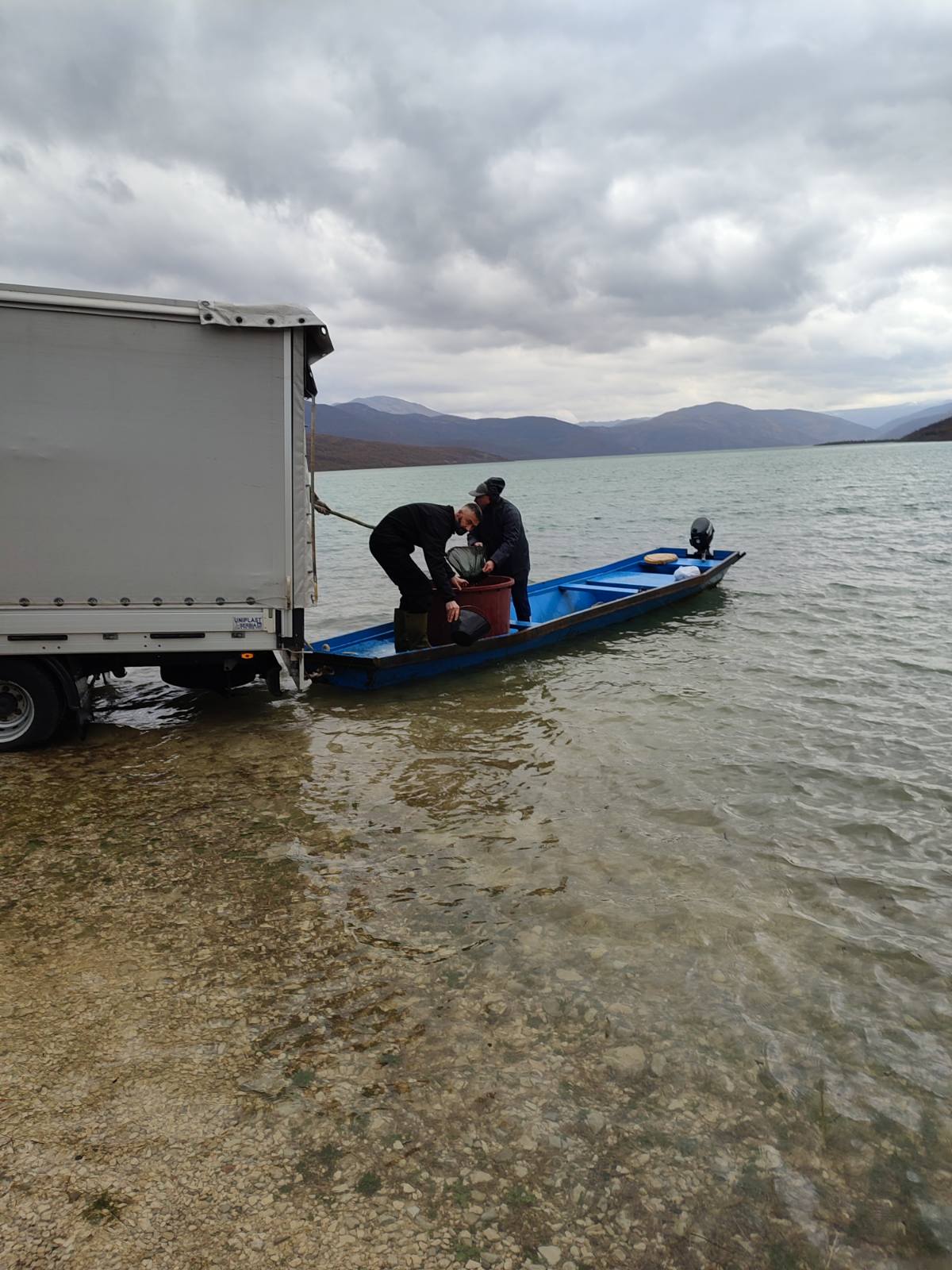 Poribljavanje-Bilecko-jezero-6.jpg (214 KB)