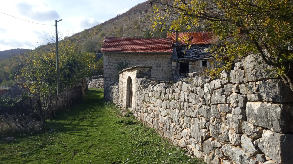 Mesari 2.jpg (474 KB)
