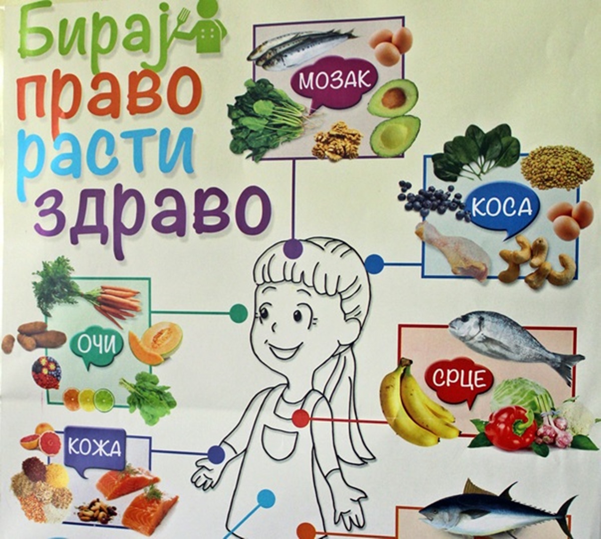 Osnovna škola 