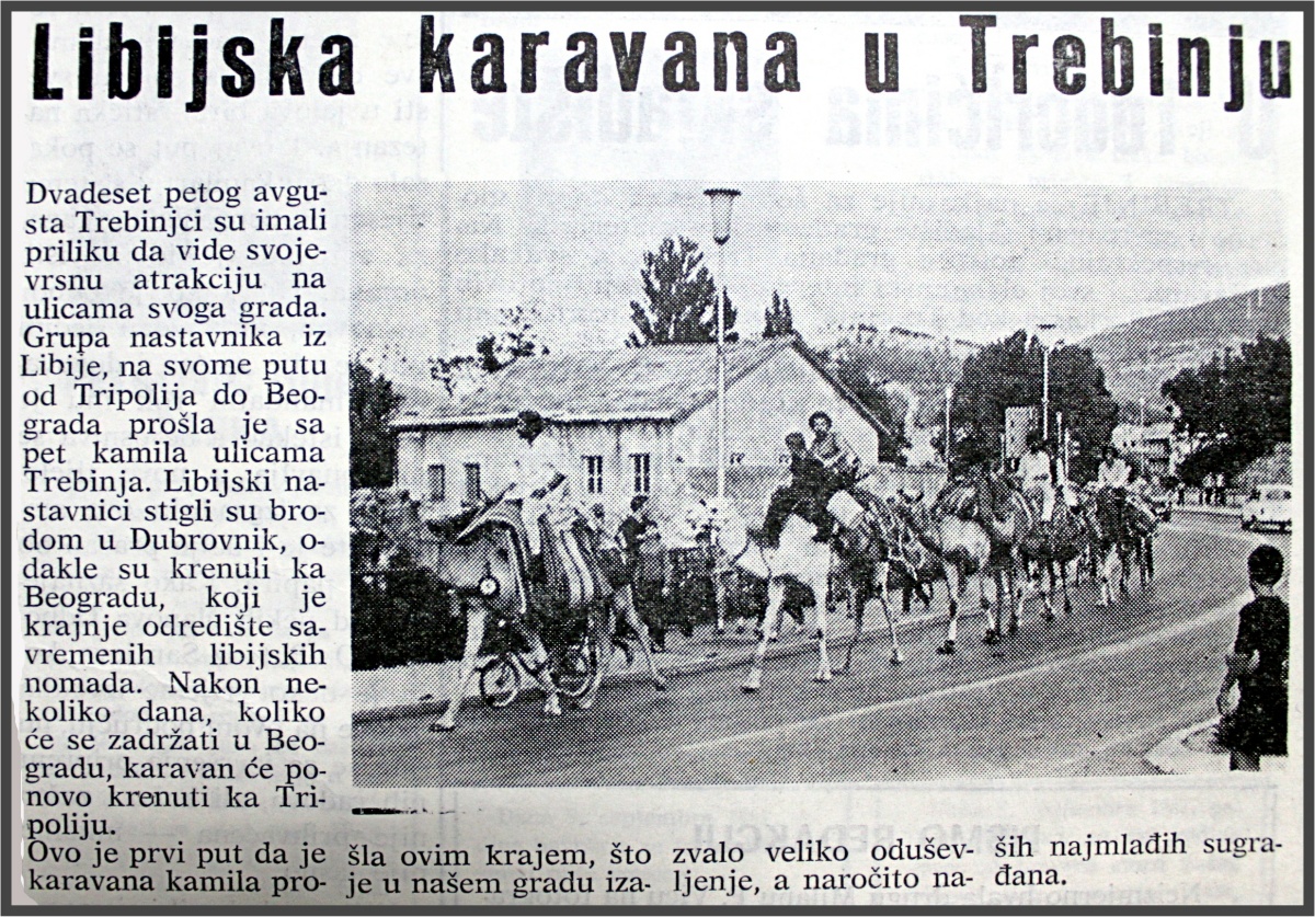 Глас Требиња, септембар 1981..JPG (604 KB)