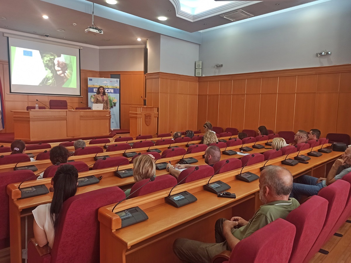 IMG-5de91c224f88ac29203751597ce2108e-V.jpg (295 KB)