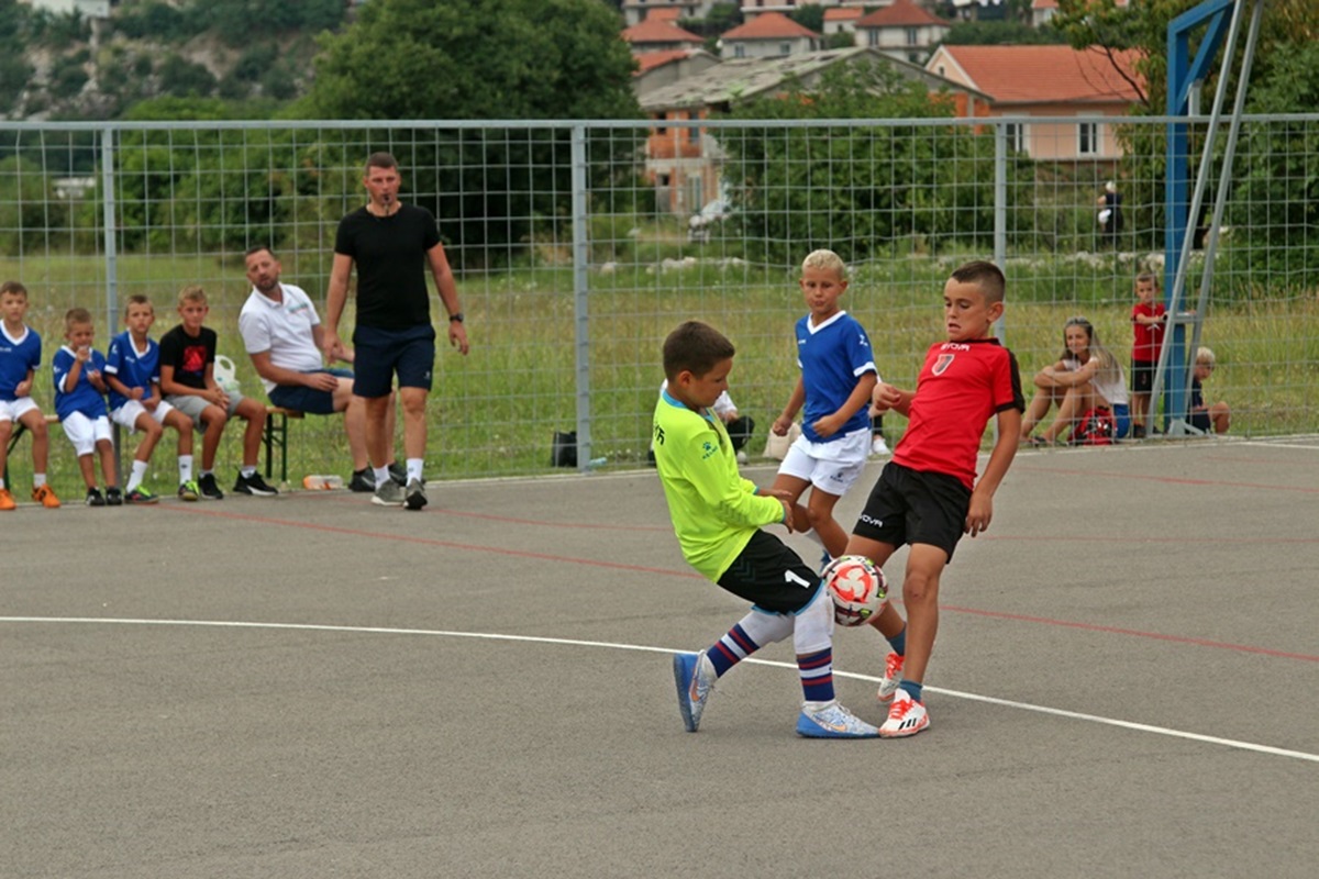 IMG_3488.JPG (295 KB)