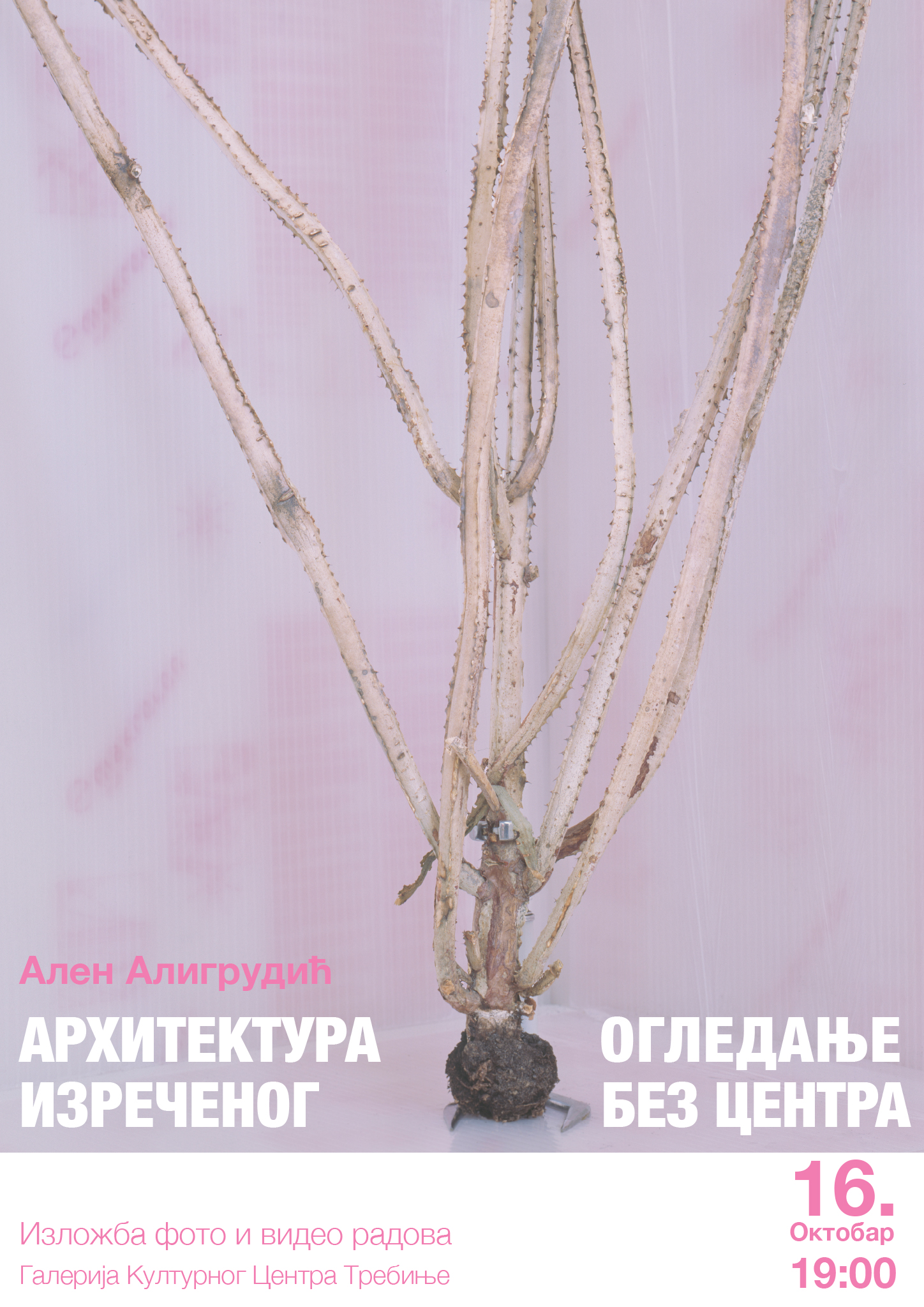 plakat-Alen-A.jpg (1.58 MB)