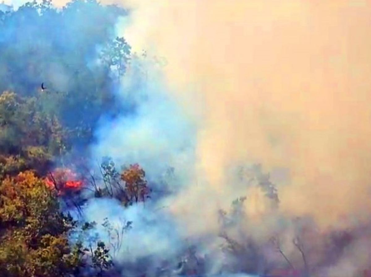 Požar kod Berkovića, gori nepristupačan teren; Helikopteri u pripravnosti