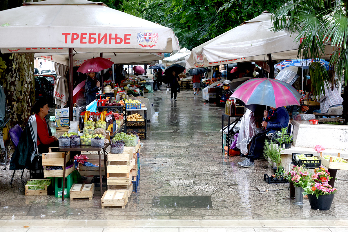 kisa 10.jpg (616 KB)