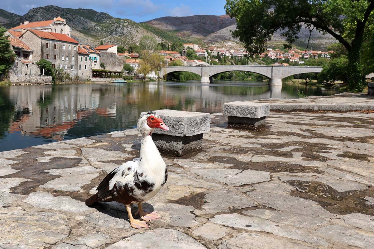 U Trebinju danas sparno, sa 36 stepeni Celzijusa