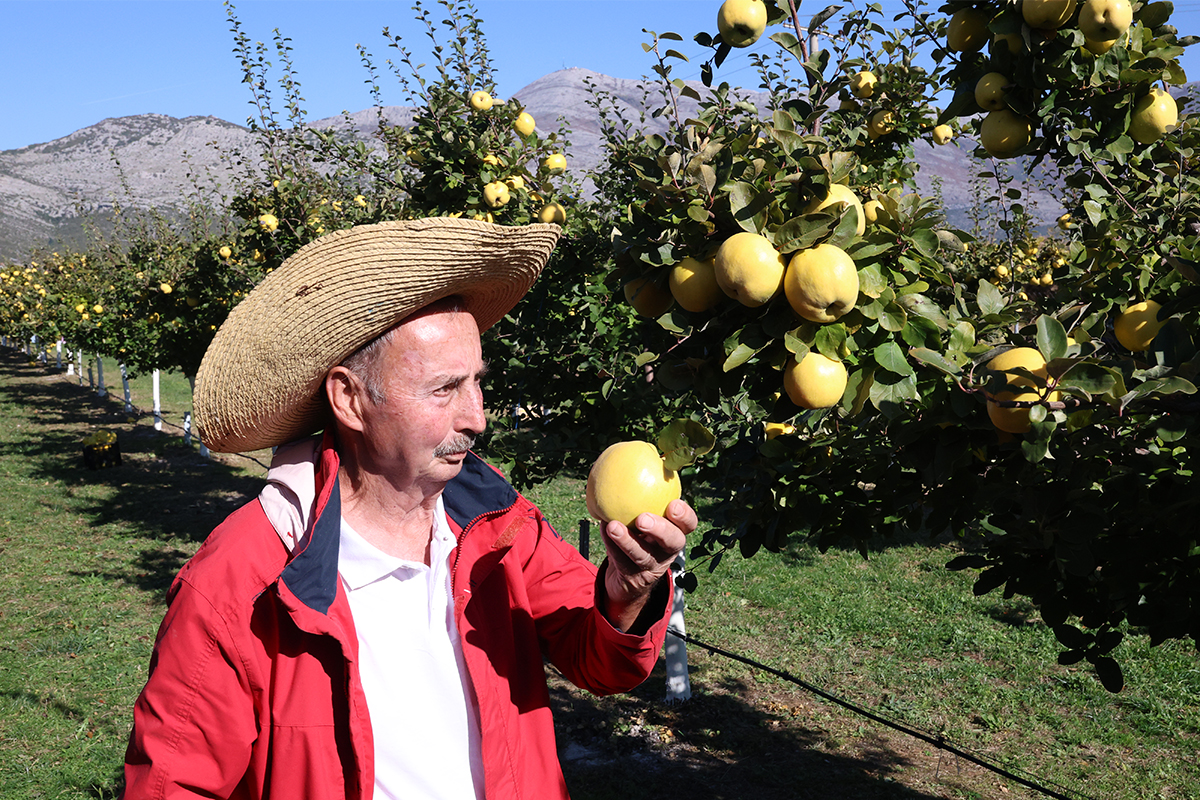 Dunje 6.jpg (1.17 MB)