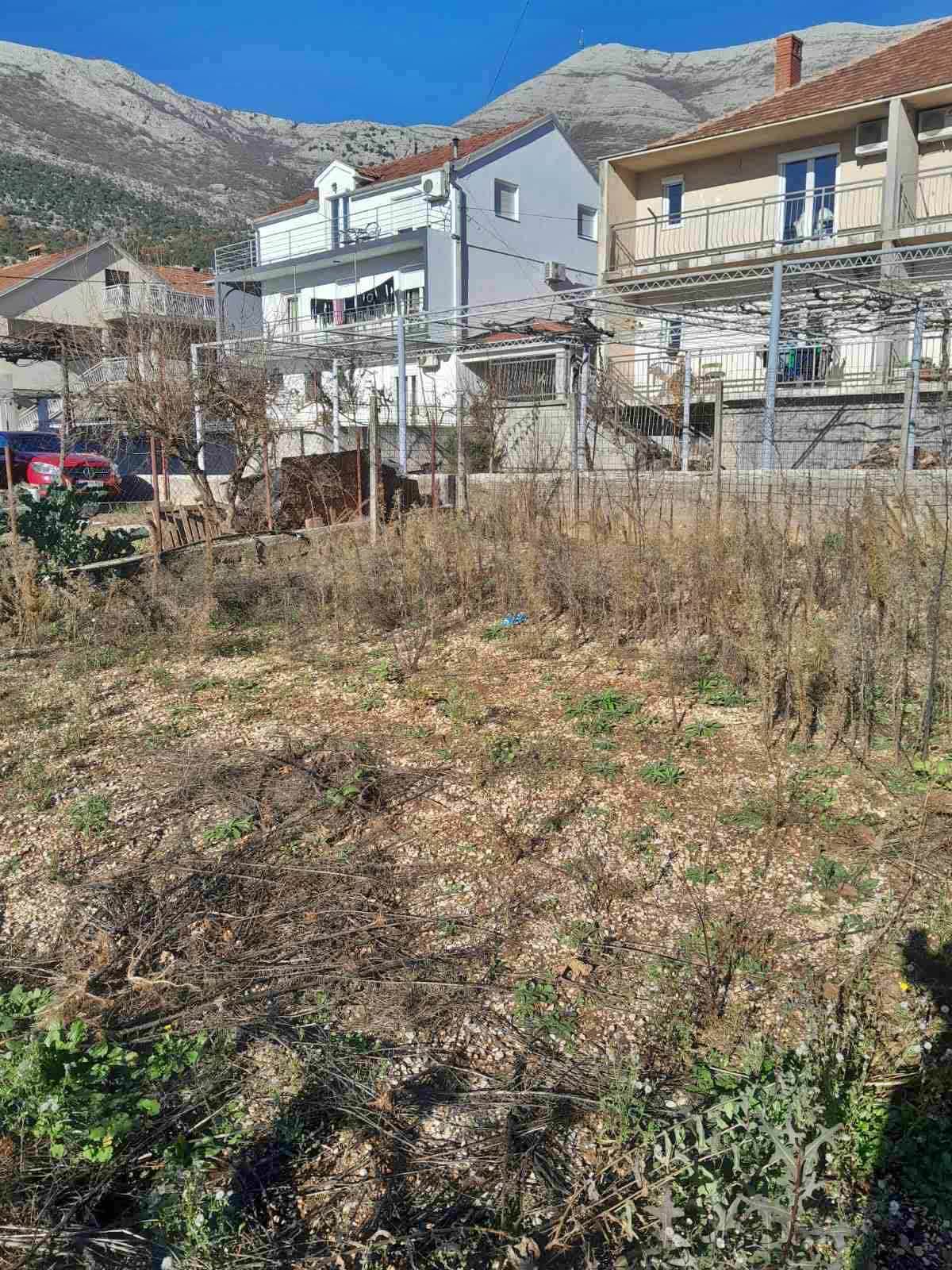 SLIKA 1(2).jpg (381 KB)