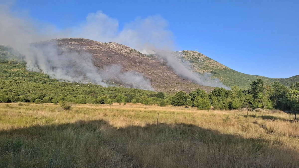 Požar u selu Trebijovi kod Trebinja i dalje aktivan 