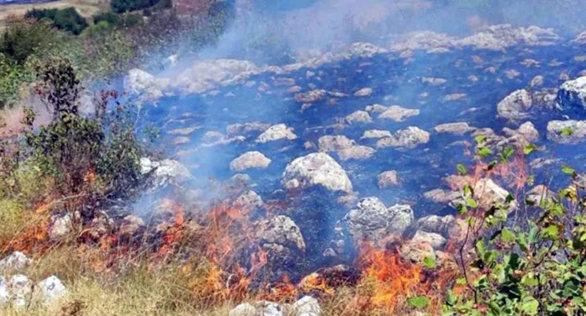 Izbio požar u selu Trebijovi 