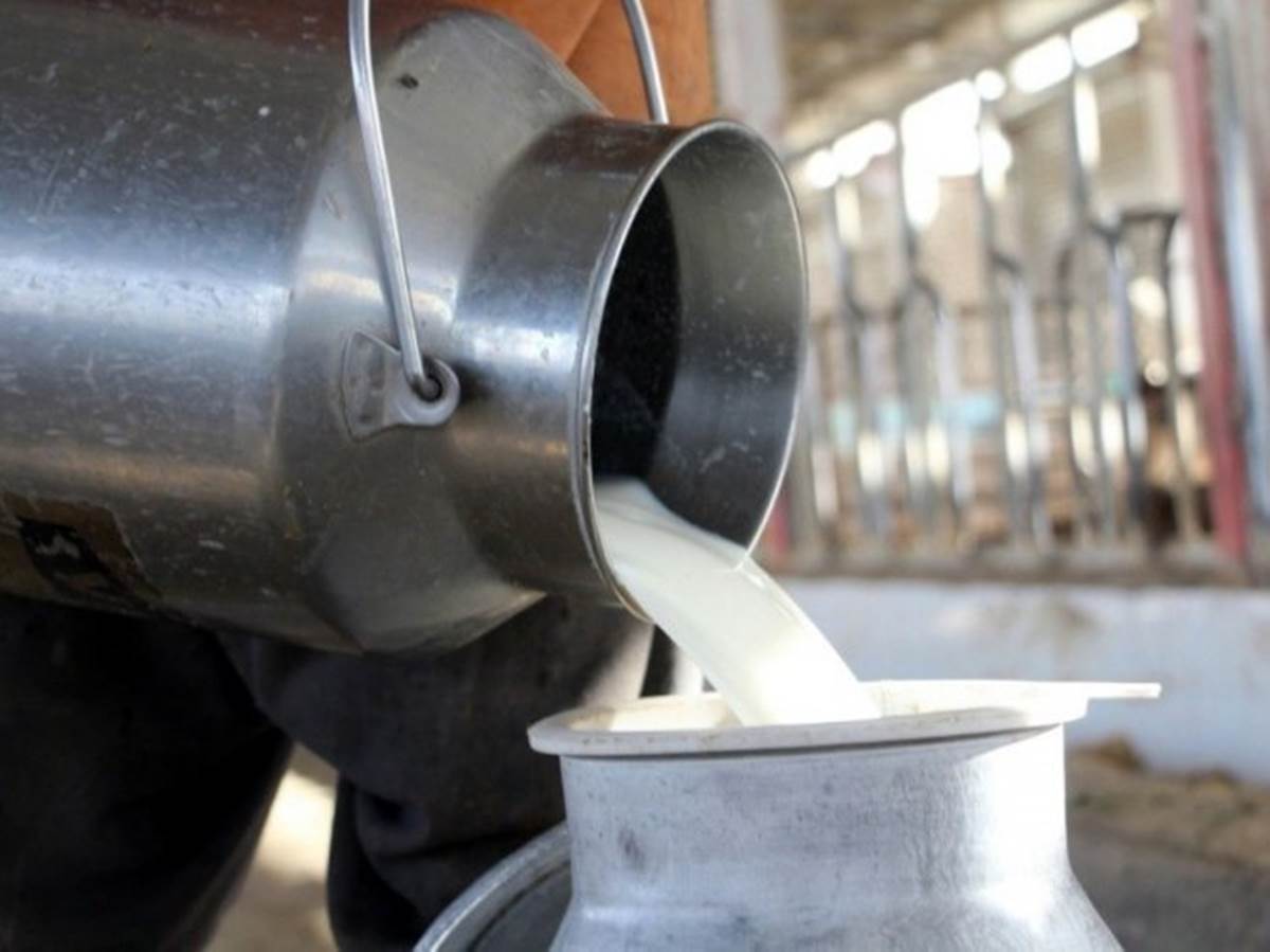 Мљекара Пађени из Билеће спремна за извоз у Русију (ВИДЕО)