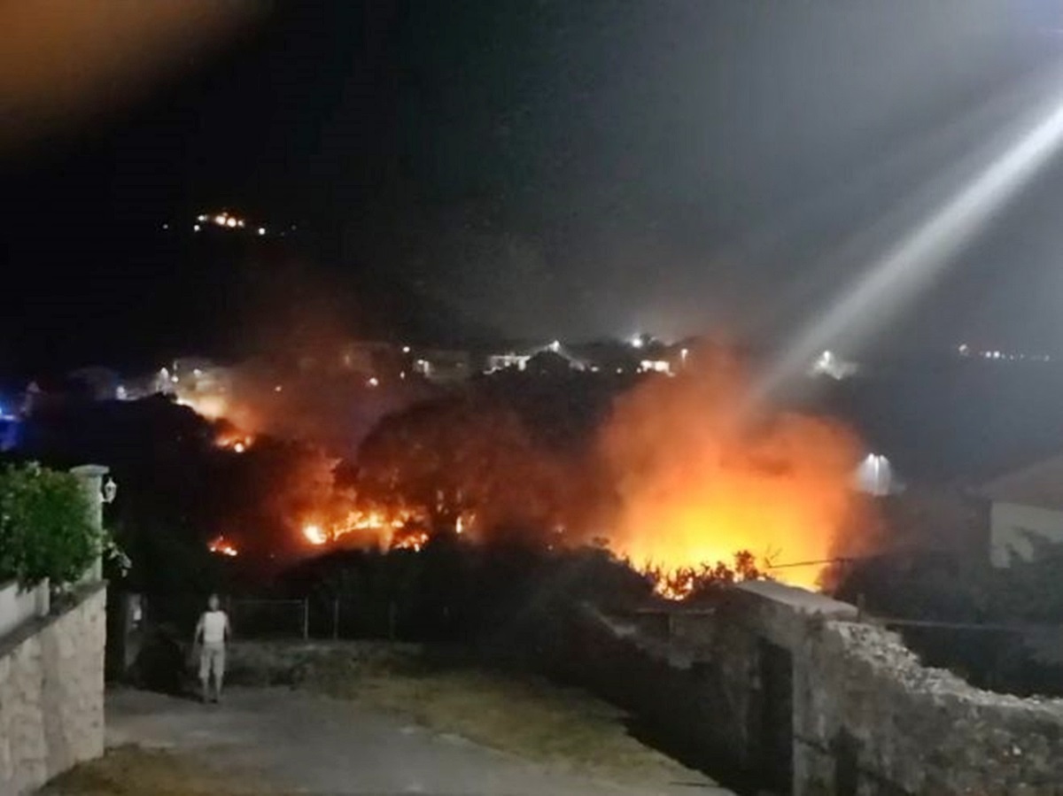 Пожар у Горици, ватрогасци на терену