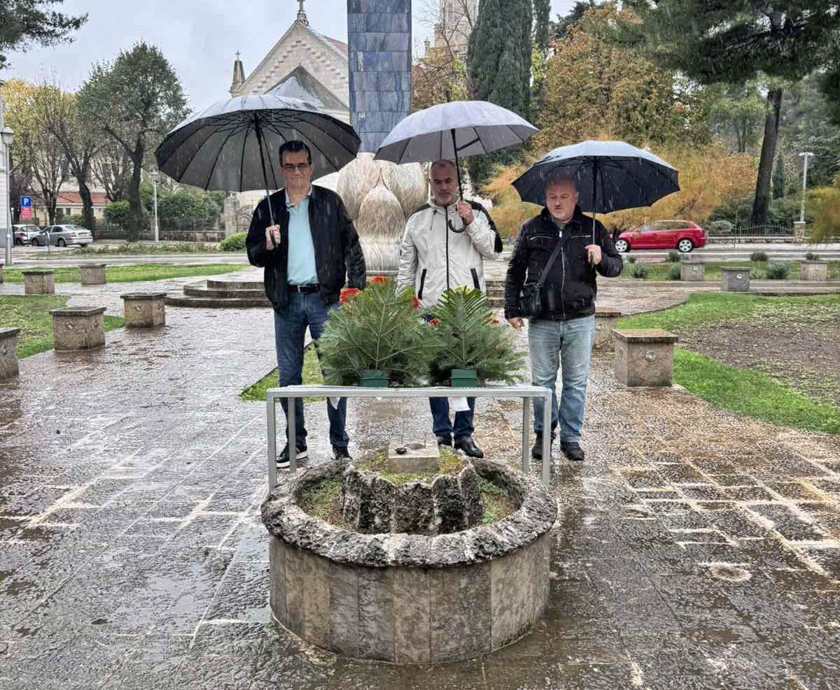 1000005901.jpg (262 KB)