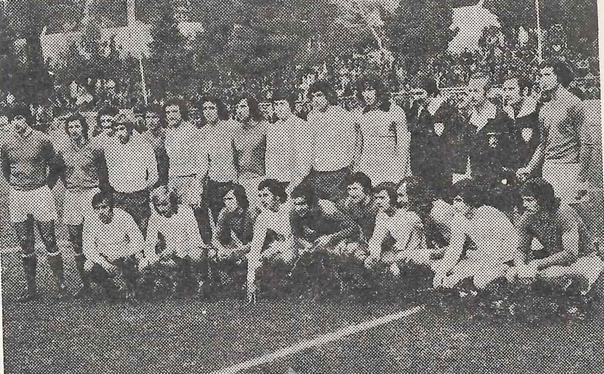 1000096738.jpg (599 KB)