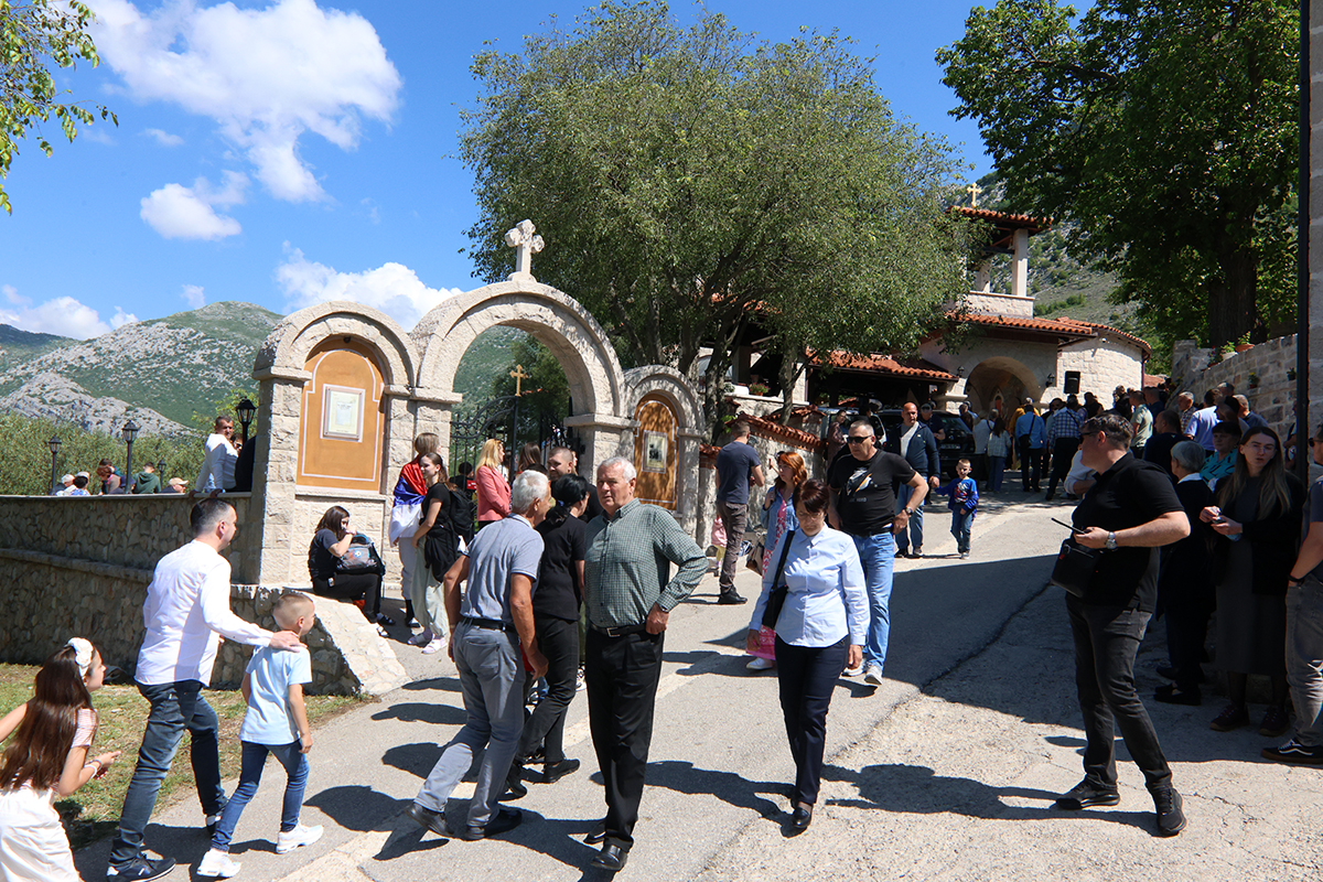 3E52E0B5-21EB-4869-A7EB-7784E1AD0930.jpeg (1.30 MB)