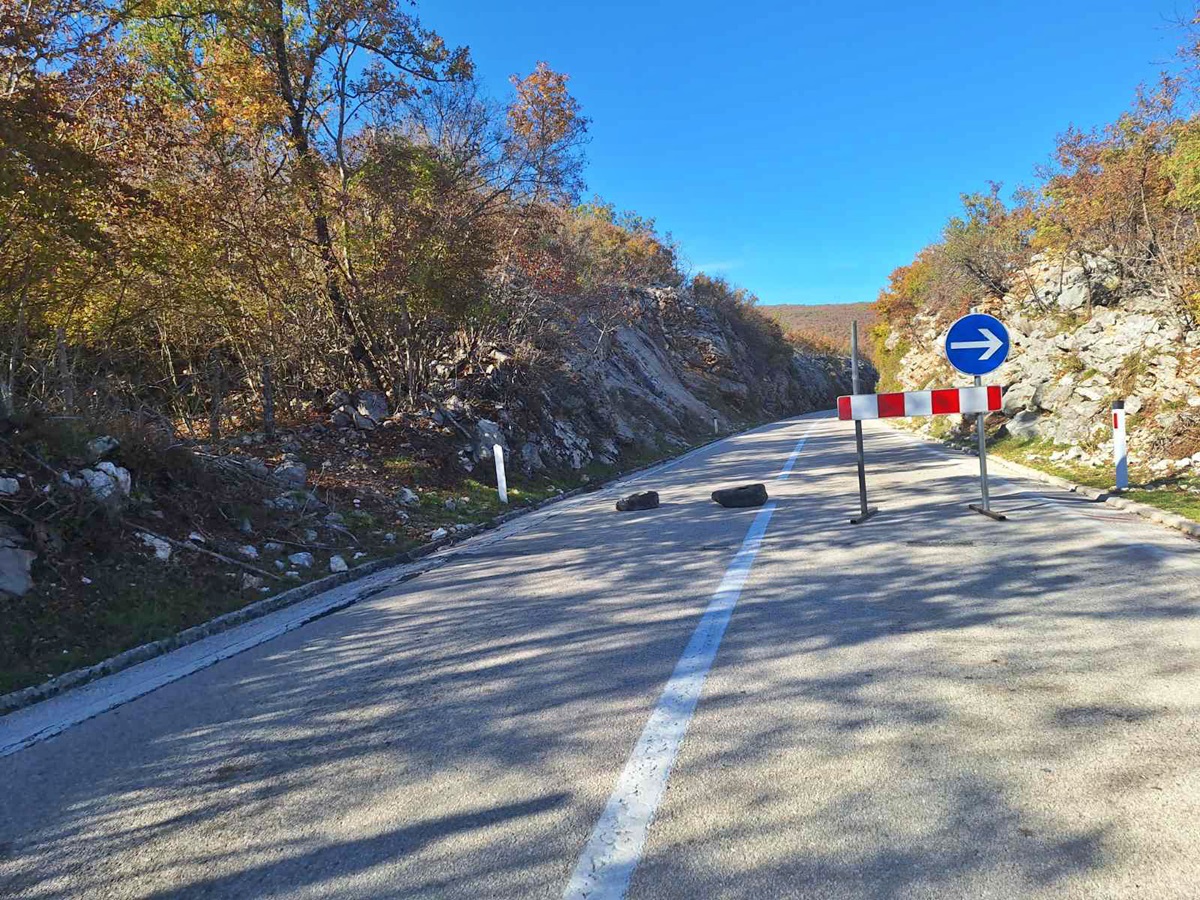 Srn2025-11-3_1549980_0.jpg (544 KB)