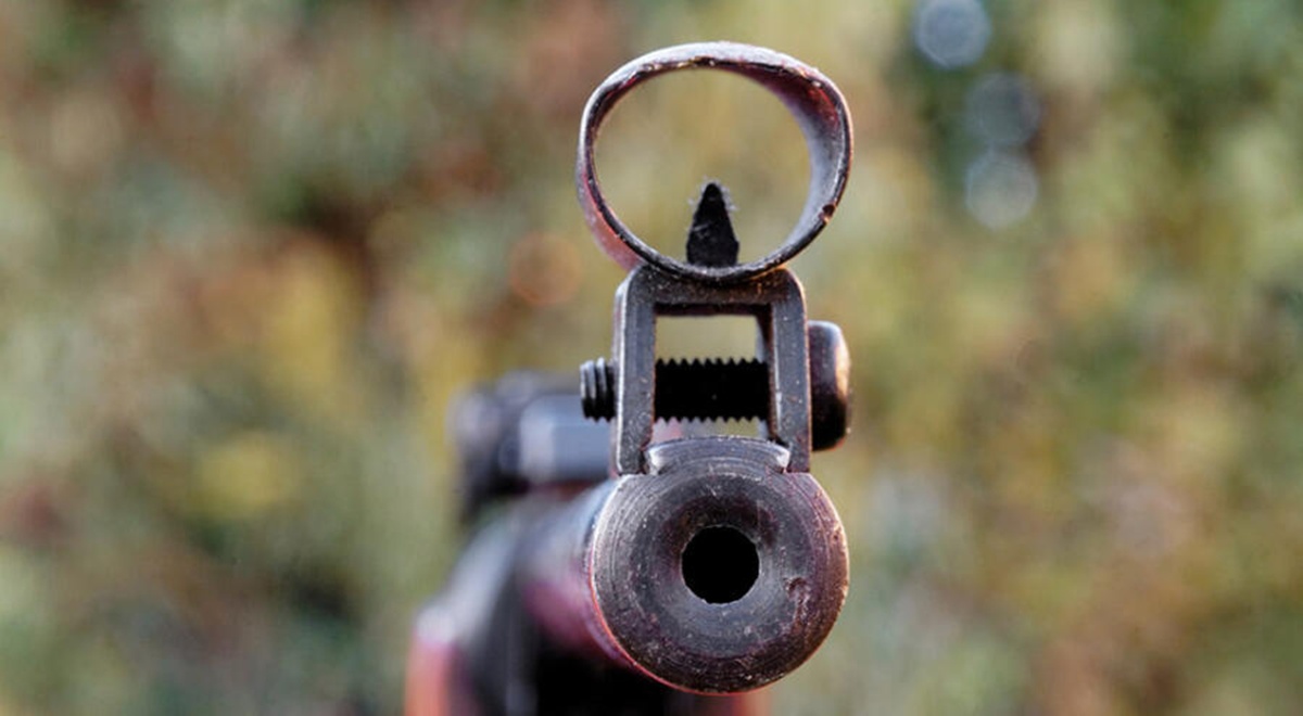 2022-04_vazdusna-puska-pixabay-ilustracija_900x495.jpg (143 KB)