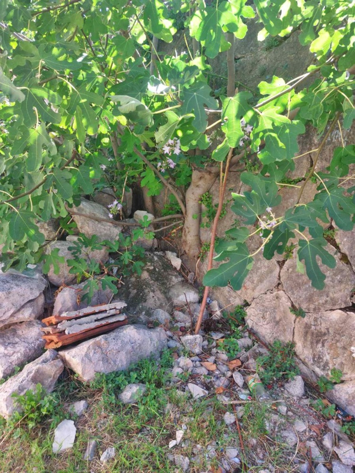 20250905135955470586.jpg (728 KB)