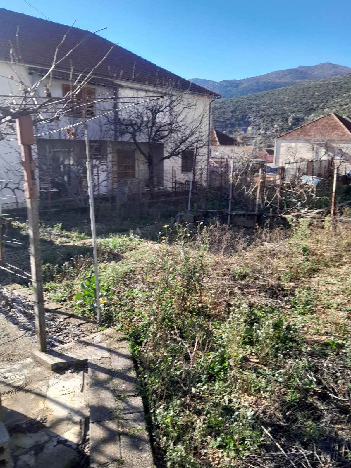 jl;hlj;j.jpg (337 KB)