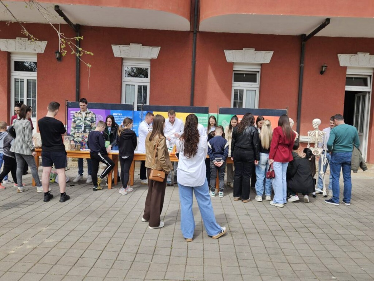 1000062637-1024x768.jpg (304 KB)