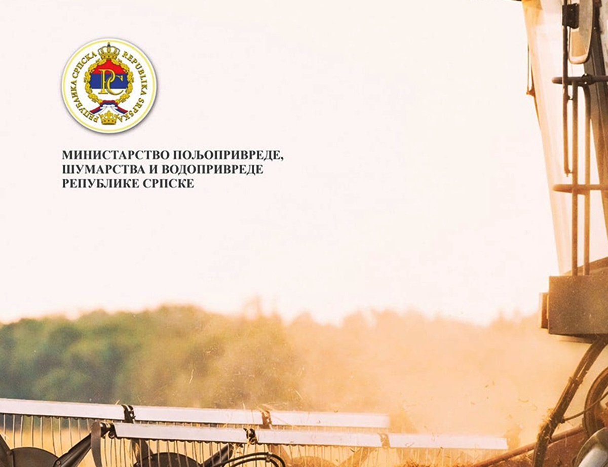 1390105.jpg (199 KB)