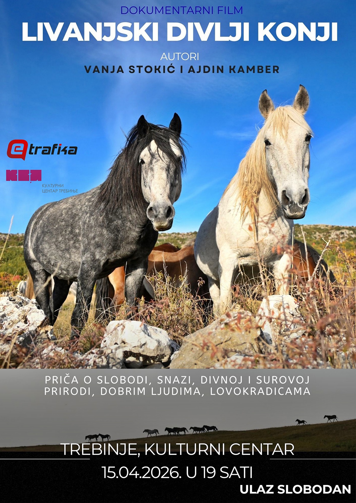 Најава: Документарни филм „Ливањски дивљи коњи – између слободе и небриге“