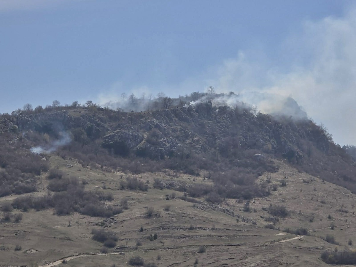 Srn2026-4-12_1558186_0.jpg (225 KB)