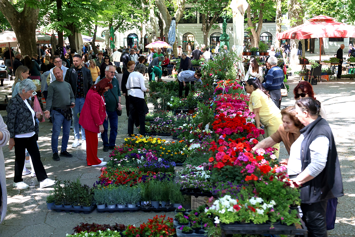 TB Subota 25 04 2025 (13).jpg (1.24 MB)