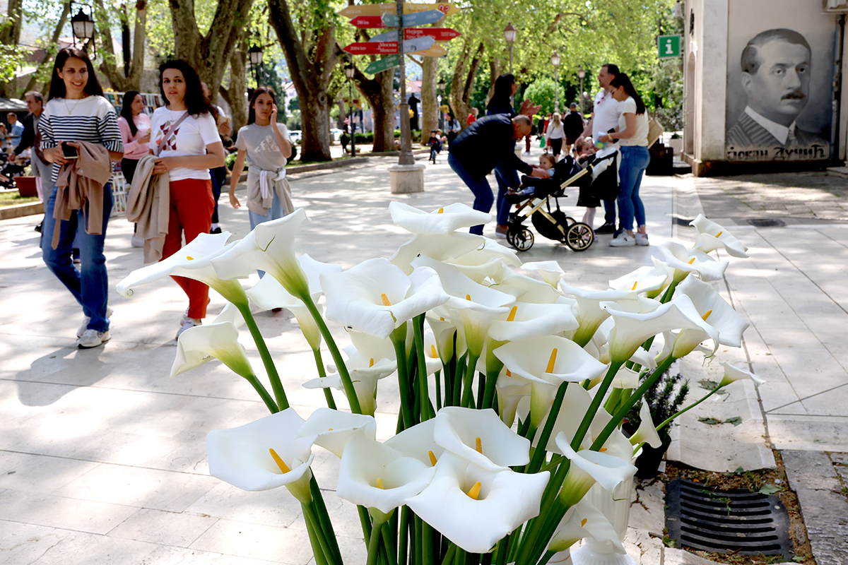 TB subota 18 04 2026 (14).jpg (943 KB)