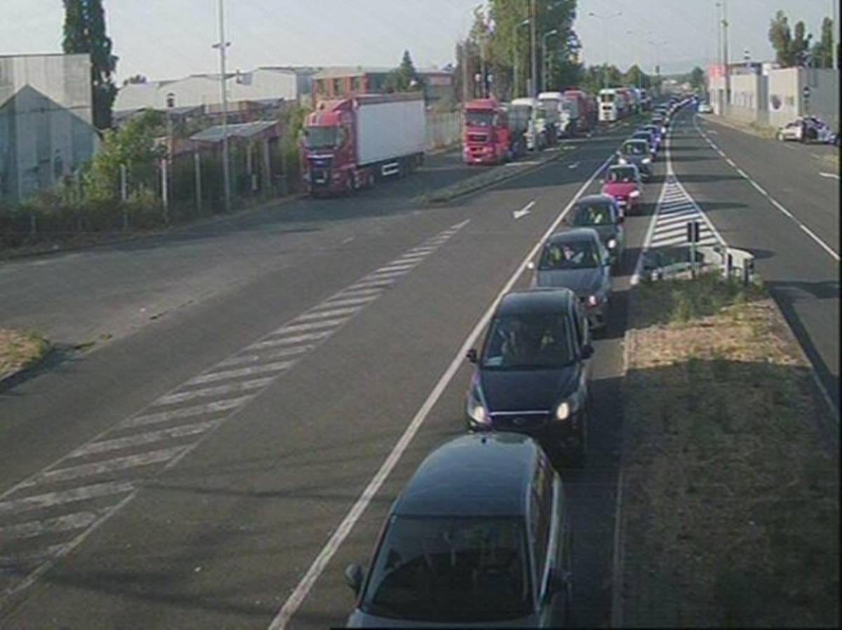 316360.jpg (229 KB)
