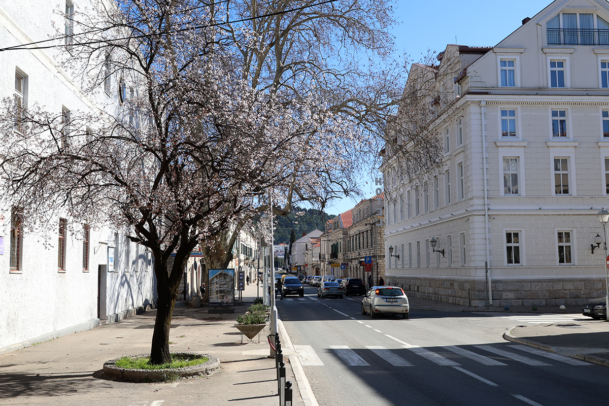 Trebinje vremenska prognoza 5.jpg (1.18 MB)