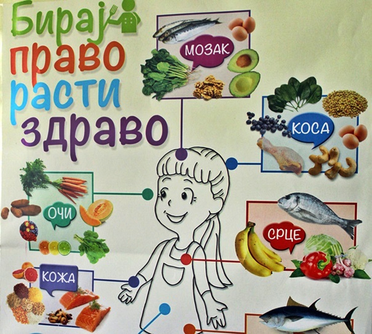 ilustracija-zdrava-ishrana-uticaj-po-zdravlje.jpg (395 KB)