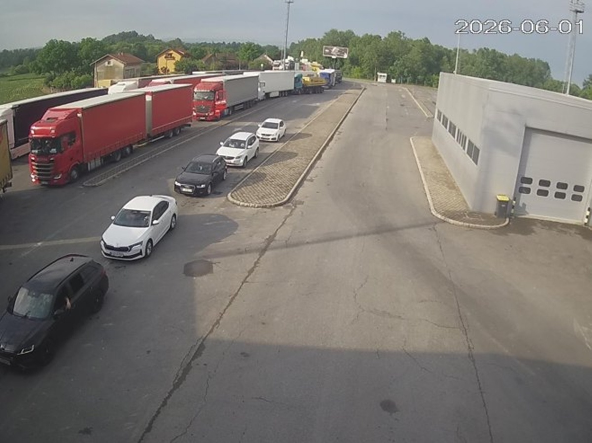 310887.jpg (215 KB)