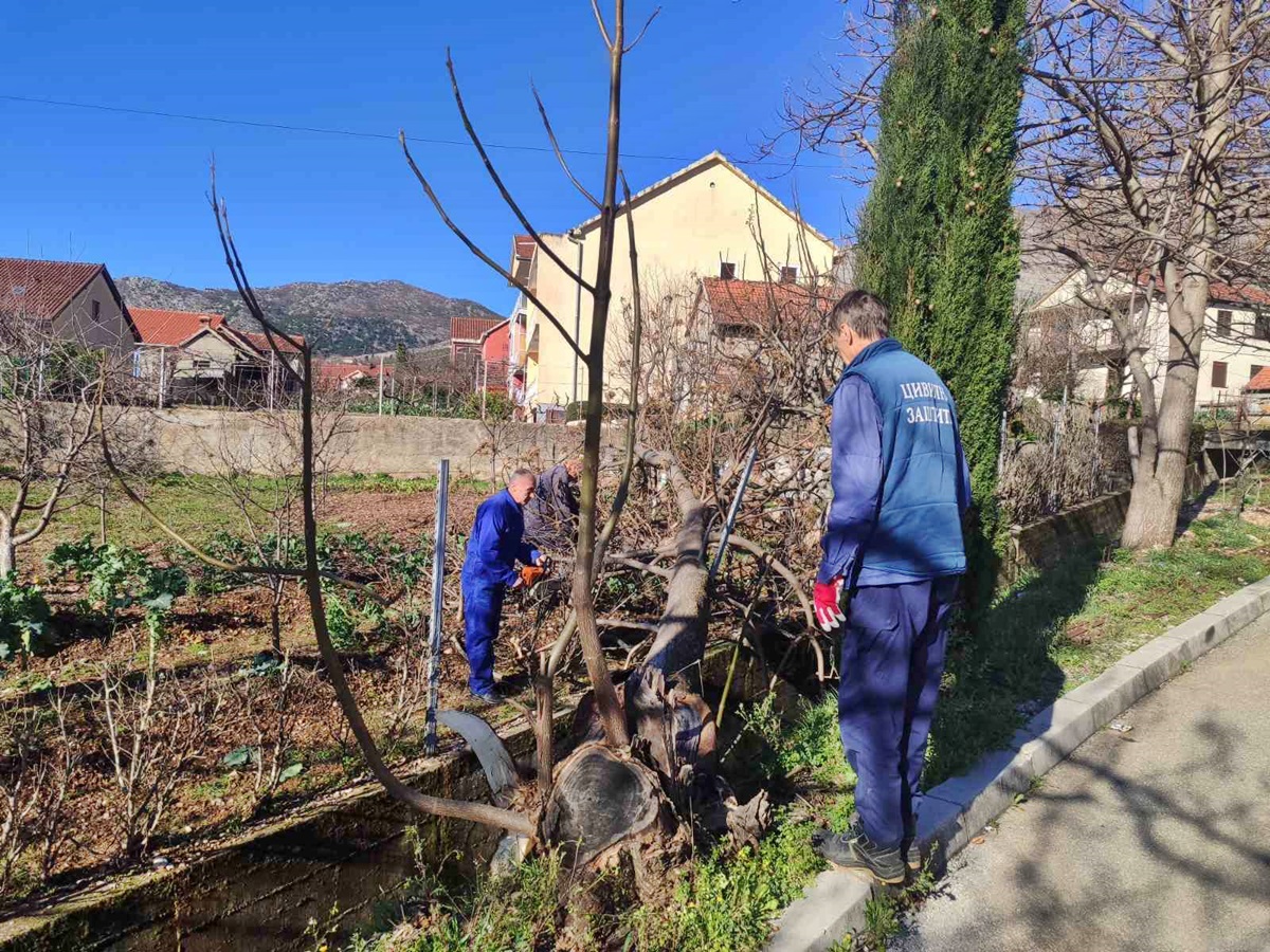 633889815_922957543411117_3269940731962752073_n.jpg (558 KB)