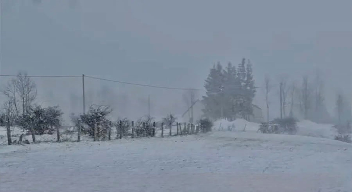 Због снијега без струје више села на подручју Гацка