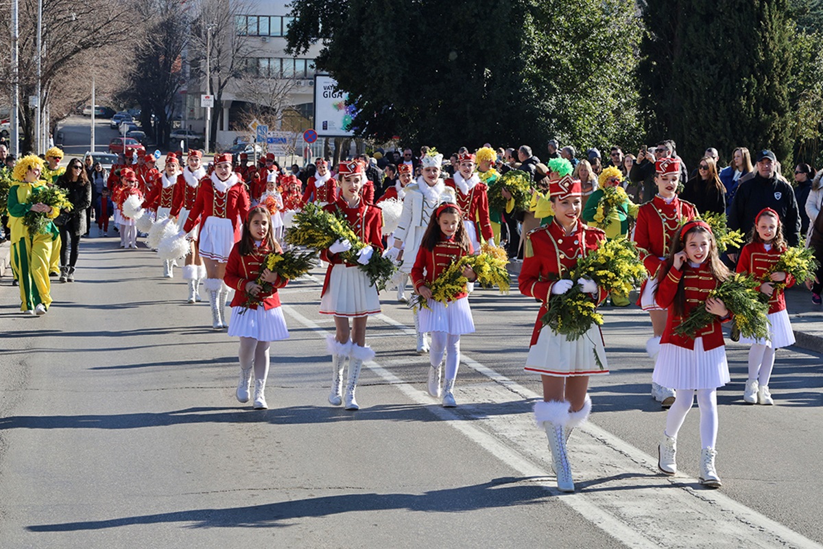 Karavan mimoze danas u Trebinju