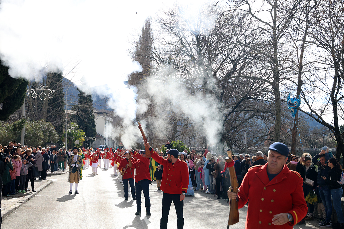 Mimoza 2.jpg (1.00 MB)