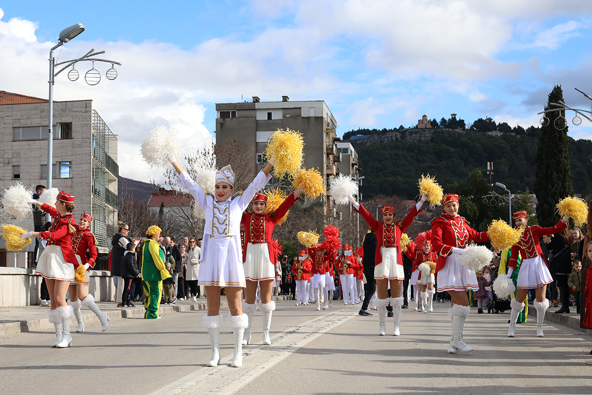 Mimoza 4.jpg (919 KB)