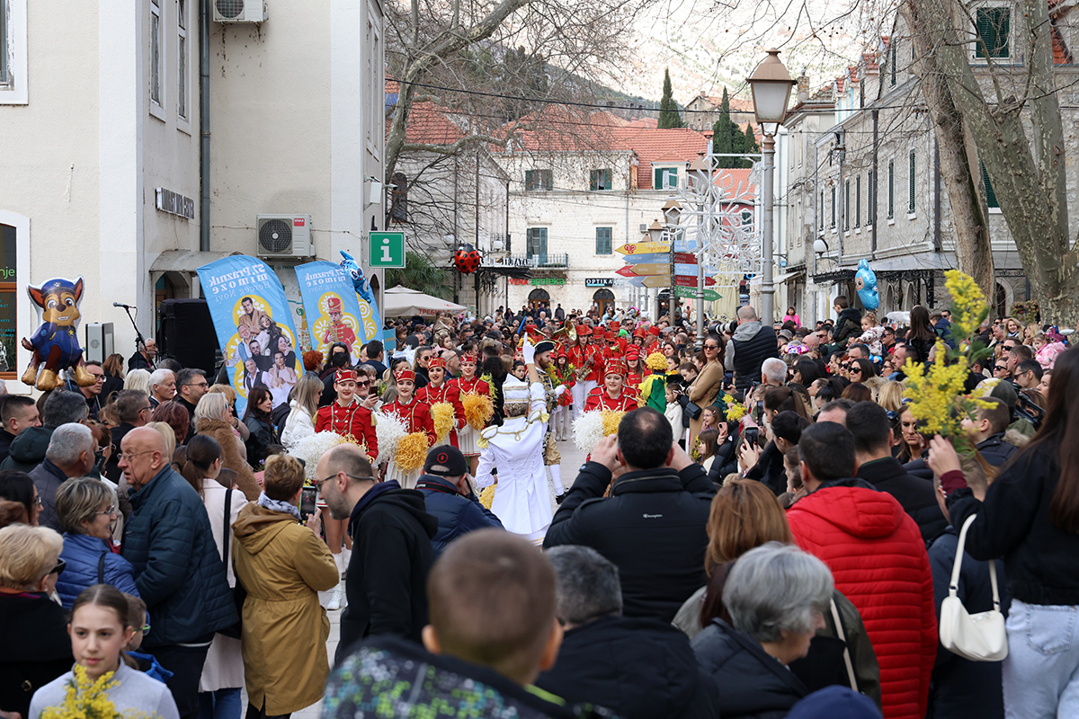 Mimoza 5.jpg (1.01 MB)