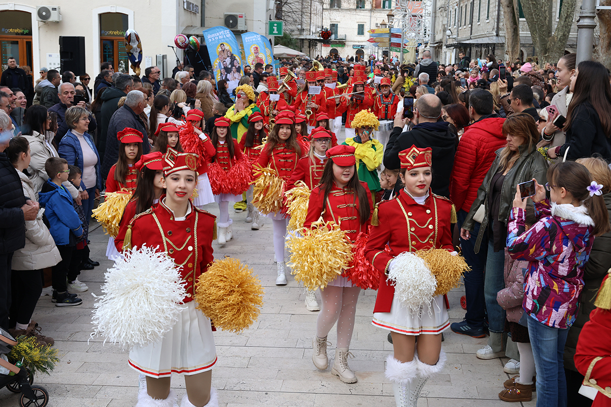 Mimoza 6.jpg (1.12 MB)