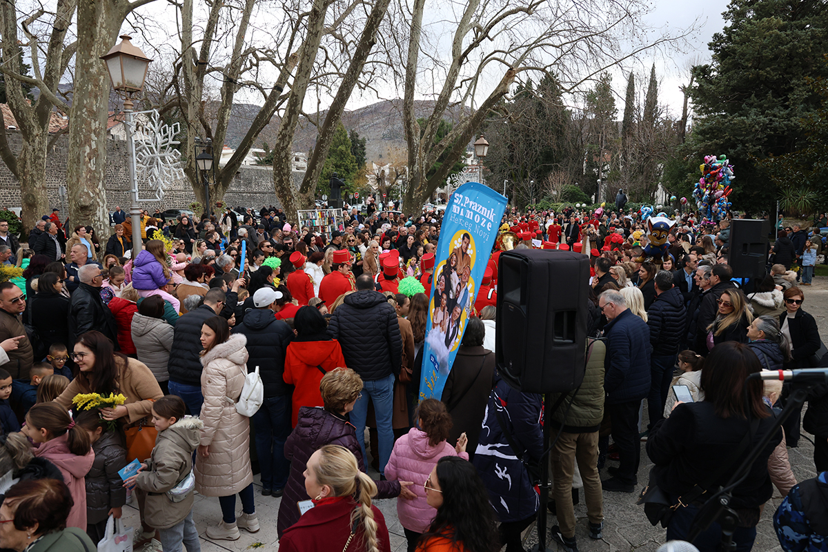 Mimoza 8.jpg (1.08 MB)