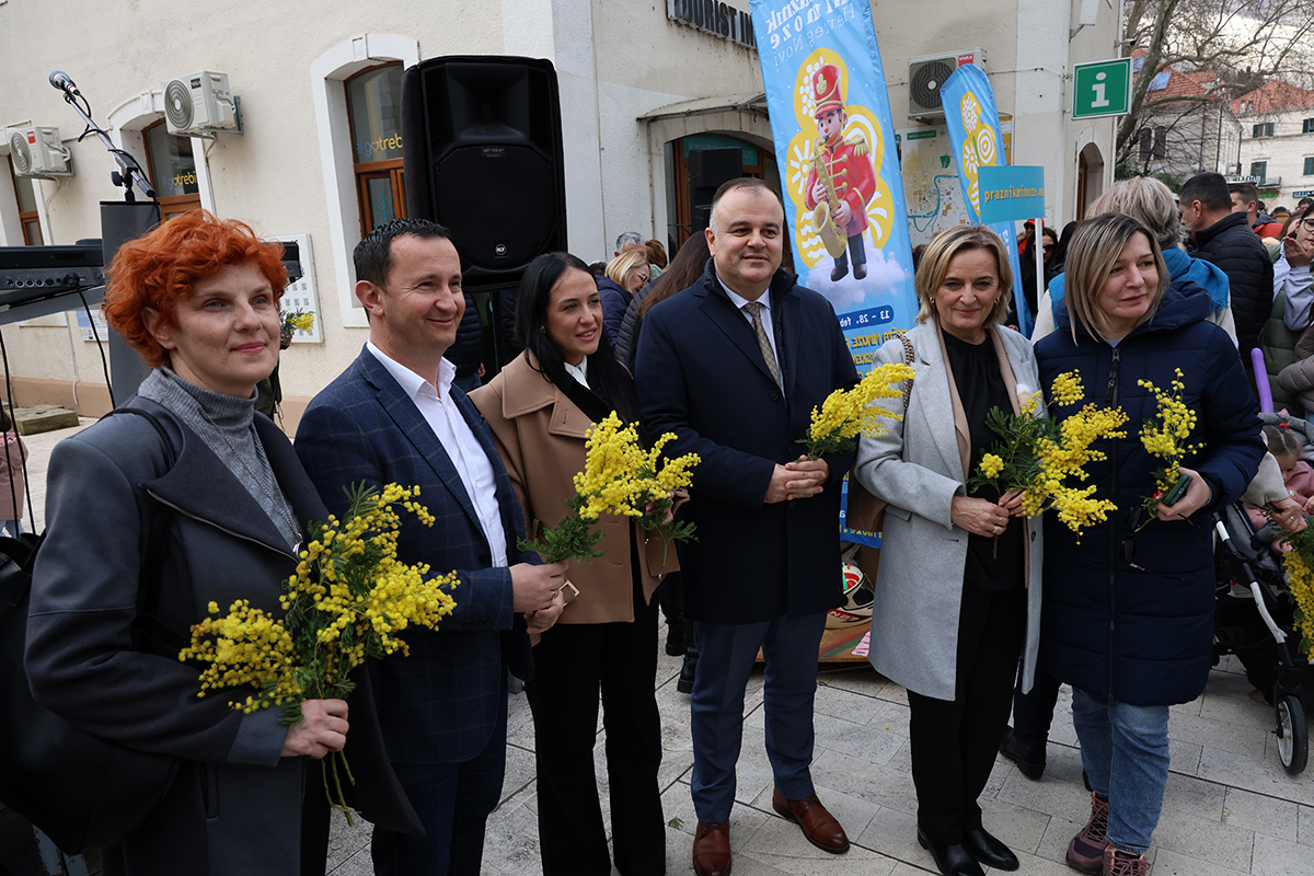 Mimoza 9.jpg (885 KB)