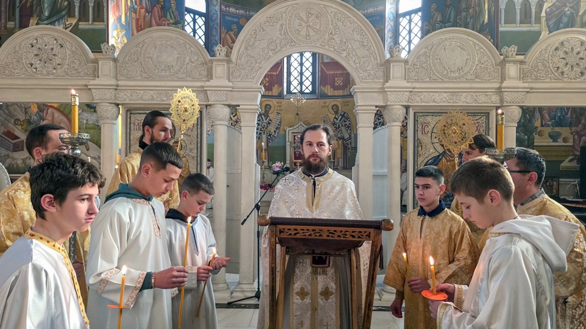 image0.jpeg (353 KB)