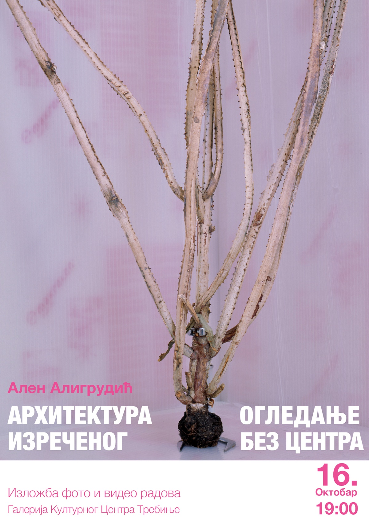 plakat-Alen-A.jpg (492 KB)